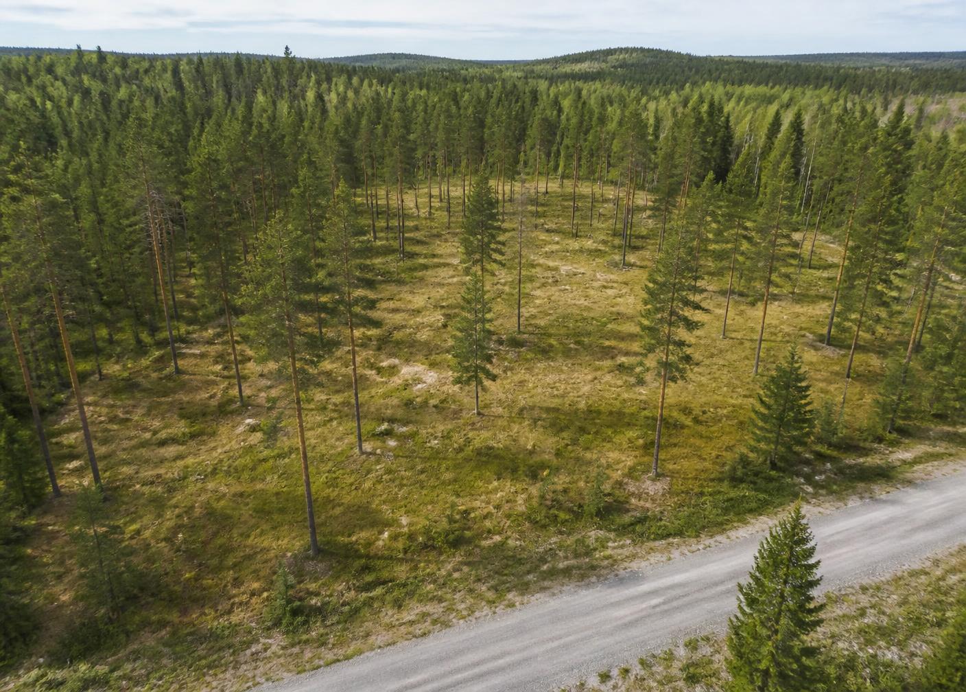 Tonttikuvaus